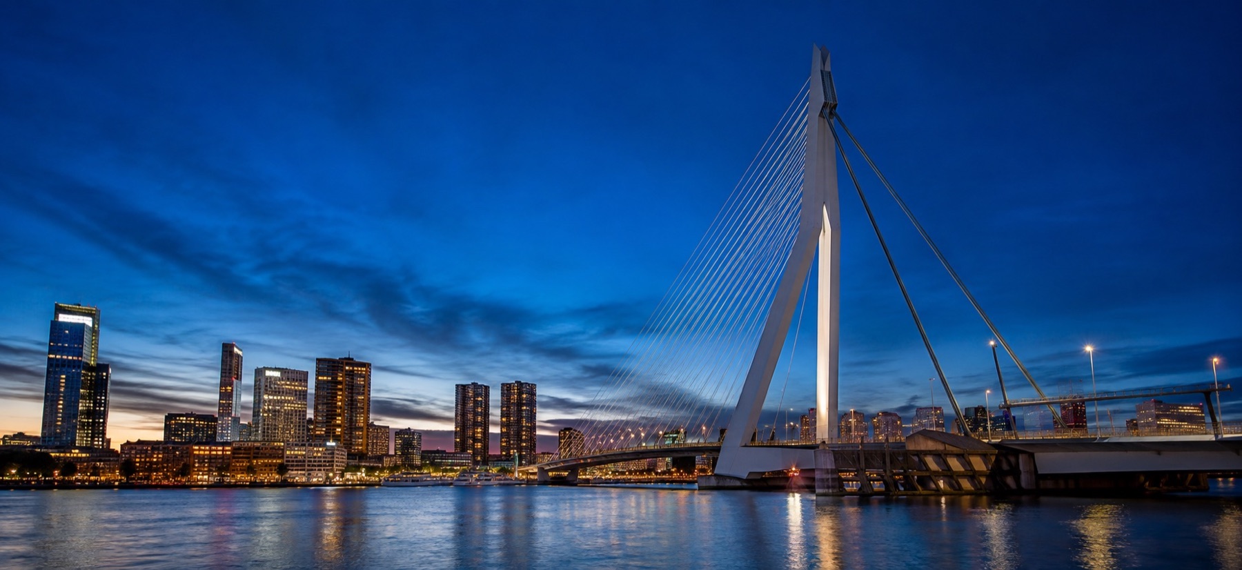 Skyline van Rotterdam bij blauw uur met de Erasmusbrug over de Maas
